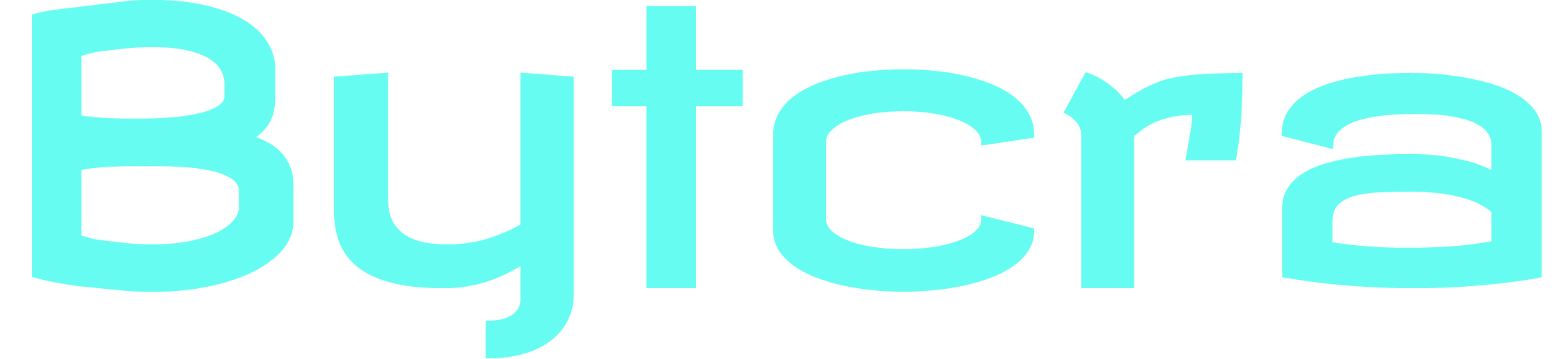 Bytcra IT Services Logo